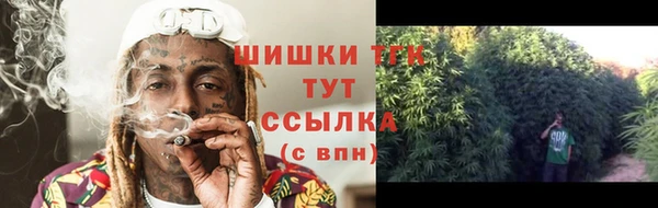 apvp Аркадак