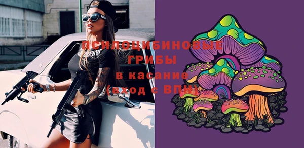 таблы Арсеньев