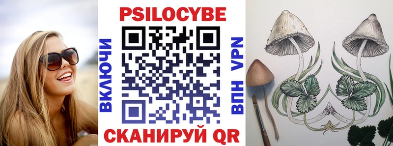 даркнет Telegram  Белово  Псилоцибиновые грибы Magic Shrooms 