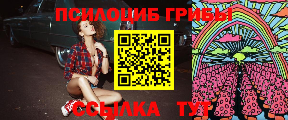 Псилоцибиновые грибы Psilocybine cubensis  Белово 