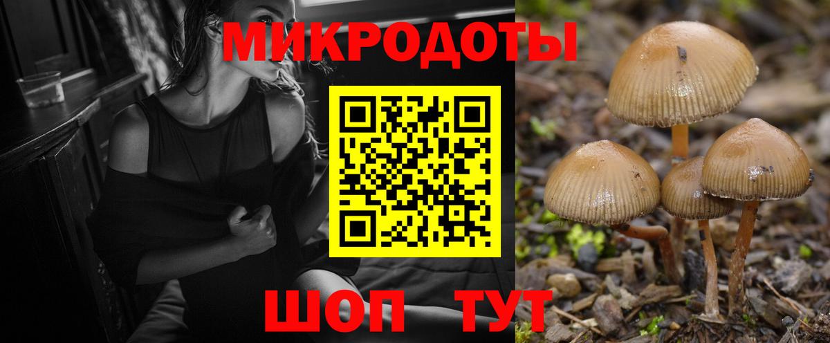 Псилоцибиновые грибы прущие грибы Белово